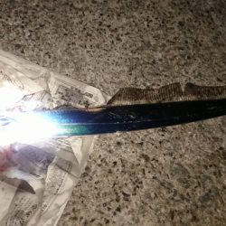 今年の釣り納め