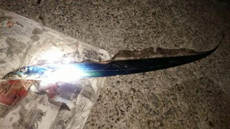 今年の釣り納め