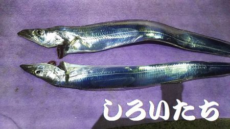 両親と今年最後？の釣り。