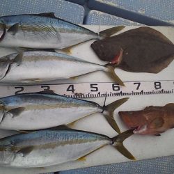 久しぶりの爆風ジギング