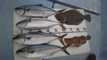 久しぶりの爆風ジギング