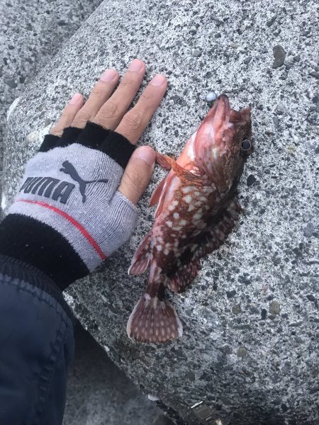 穴釣り