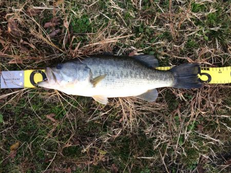 北山田 陸っぱり