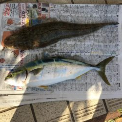 短時間の釣行