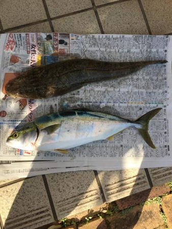 短時間の釣行