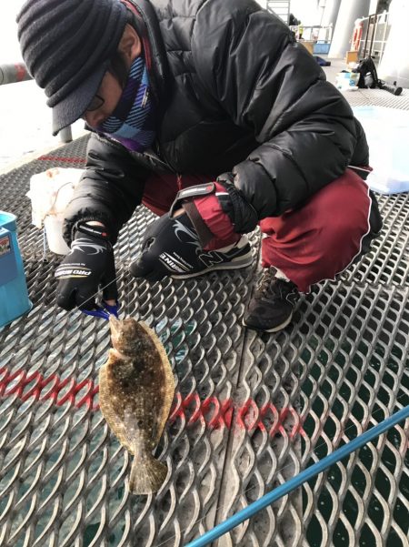 やっとノマセで