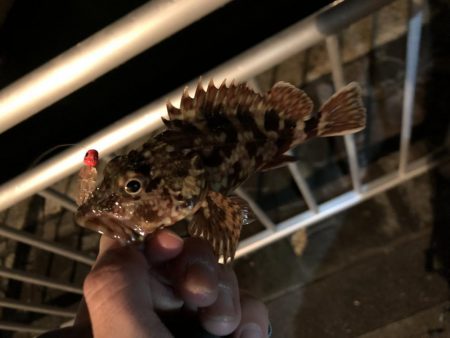 今シーズン初雪釣行！