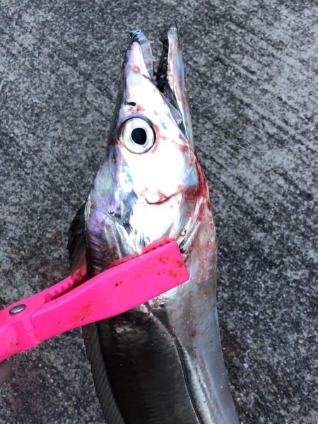 まだまだ遊べそう