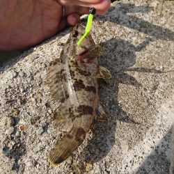 江井ヶ島漁港・江井ヶ島海岸