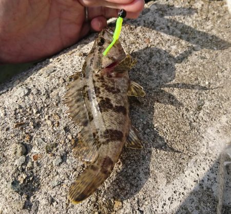 江井ヶ島漁港・江井ヶ島海岸