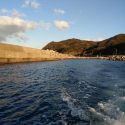 全く食い気がない中で