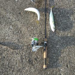 鳴尾浜魚釣公園