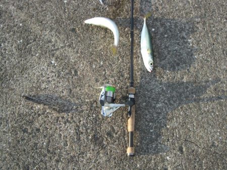 鳴尾浜魚釣公園