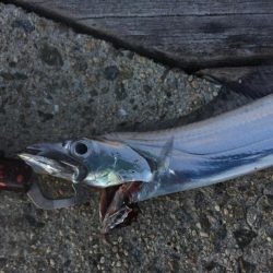 風も波もすごい！