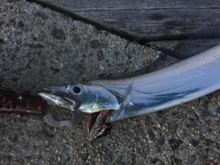 風も波もすごい！