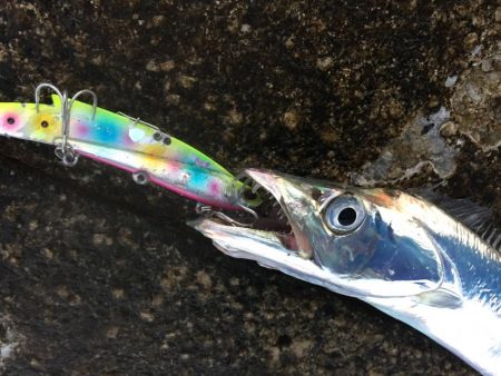 寒い！　渋い！