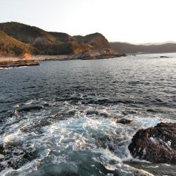 グレ5匹・・・・