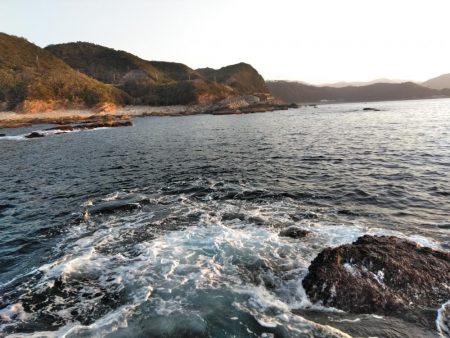 グレ5匹・・・・