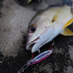 合わせが難しい 5バイトで1ヒット