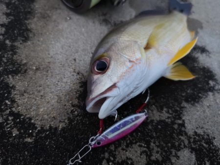 合わせが難しい 5バイトで1ヒット