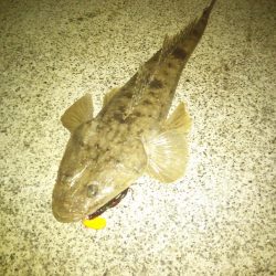 一時間半勝負！