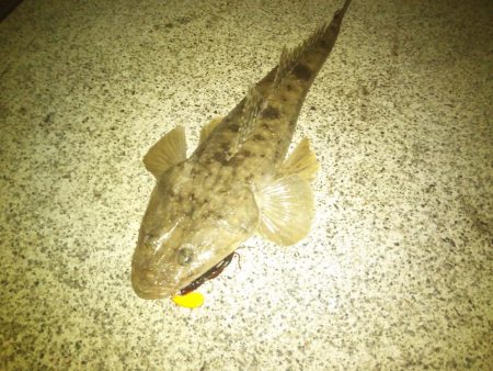 一時間半勝負！