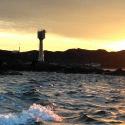 コッパ入れ食い・