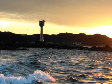 コッパ入れ食い・