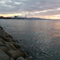 メバリングアジング