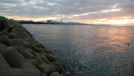 メバリングアジング