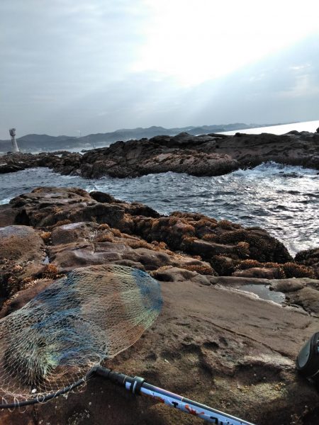 コッパグレ・ハゲ・・・・