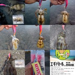 第11回エギバトル参加