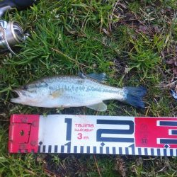 クリスマス家族サービス？