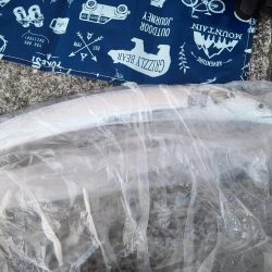 まだまだタチウオ居てますね