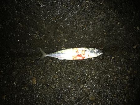 まだ可能性を感じる