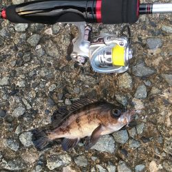 雨のあとの夕まずめ