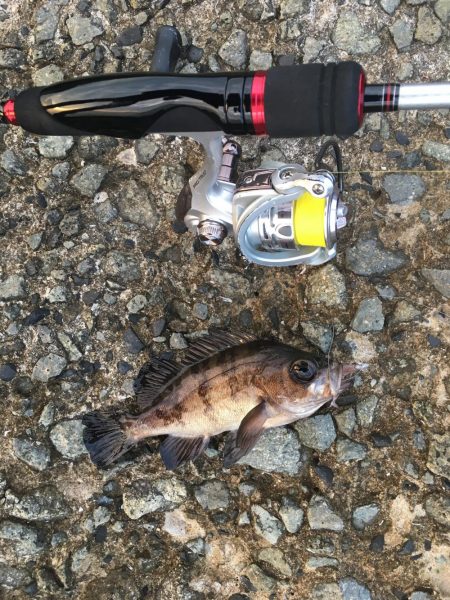 雨のあとの夕まずめ