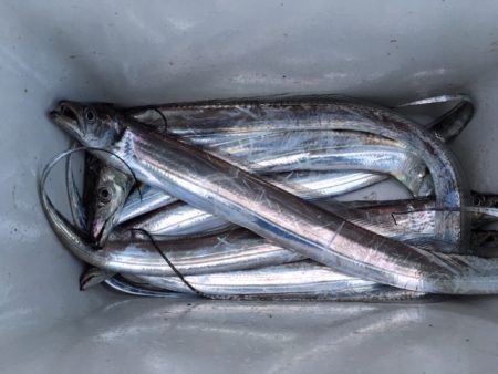 まだまだいけます　武庫一