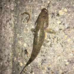 南港フェリーターミナル