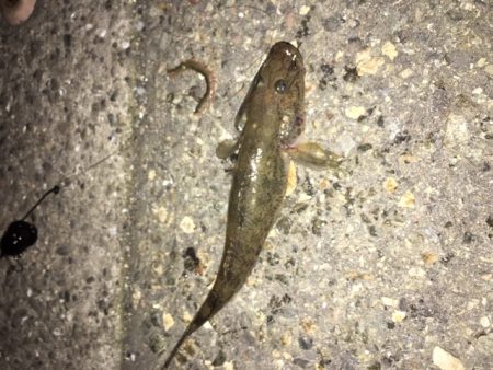 南港フェリーターミナル