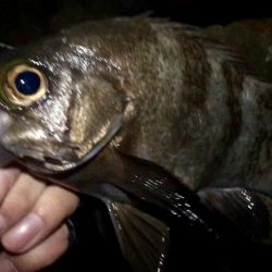 サタデーナイトフィーバー!!