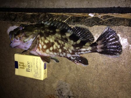 暖かいし  暇やし