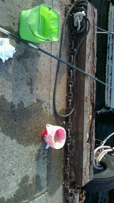 サビキでわらしべならず