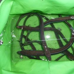 今年最後の釣行でアナゴ釣り