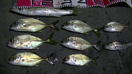 メッキうじゃうじゃ