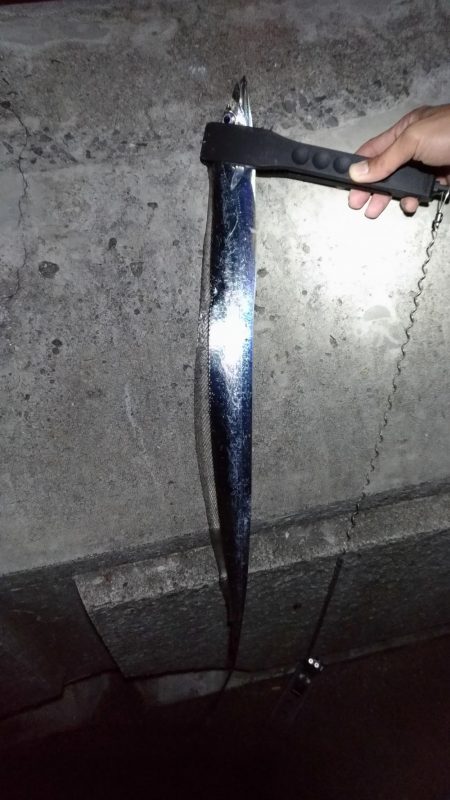 仕事終わりの夜釣り