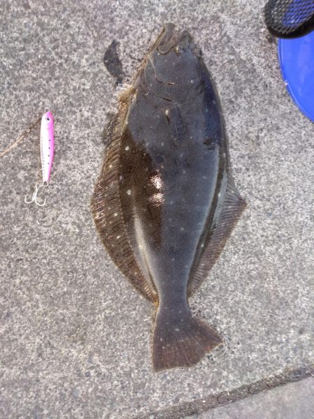 地域！田子の浦公園手前！