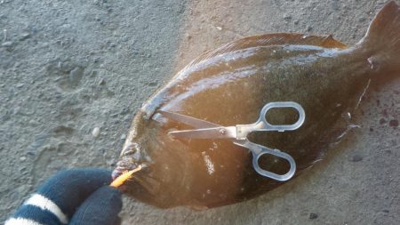 釣り納めライトゲーム