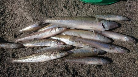 でかキスを求めて