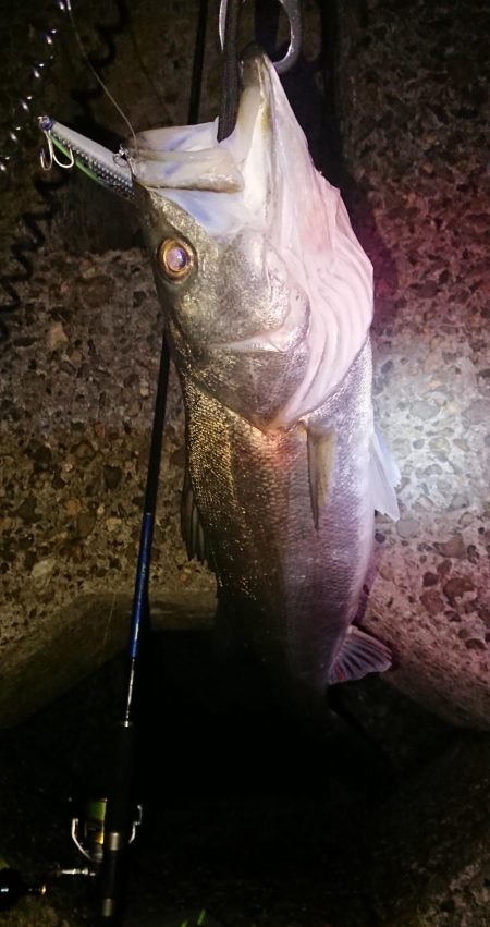 シーバス側にまわってしまった